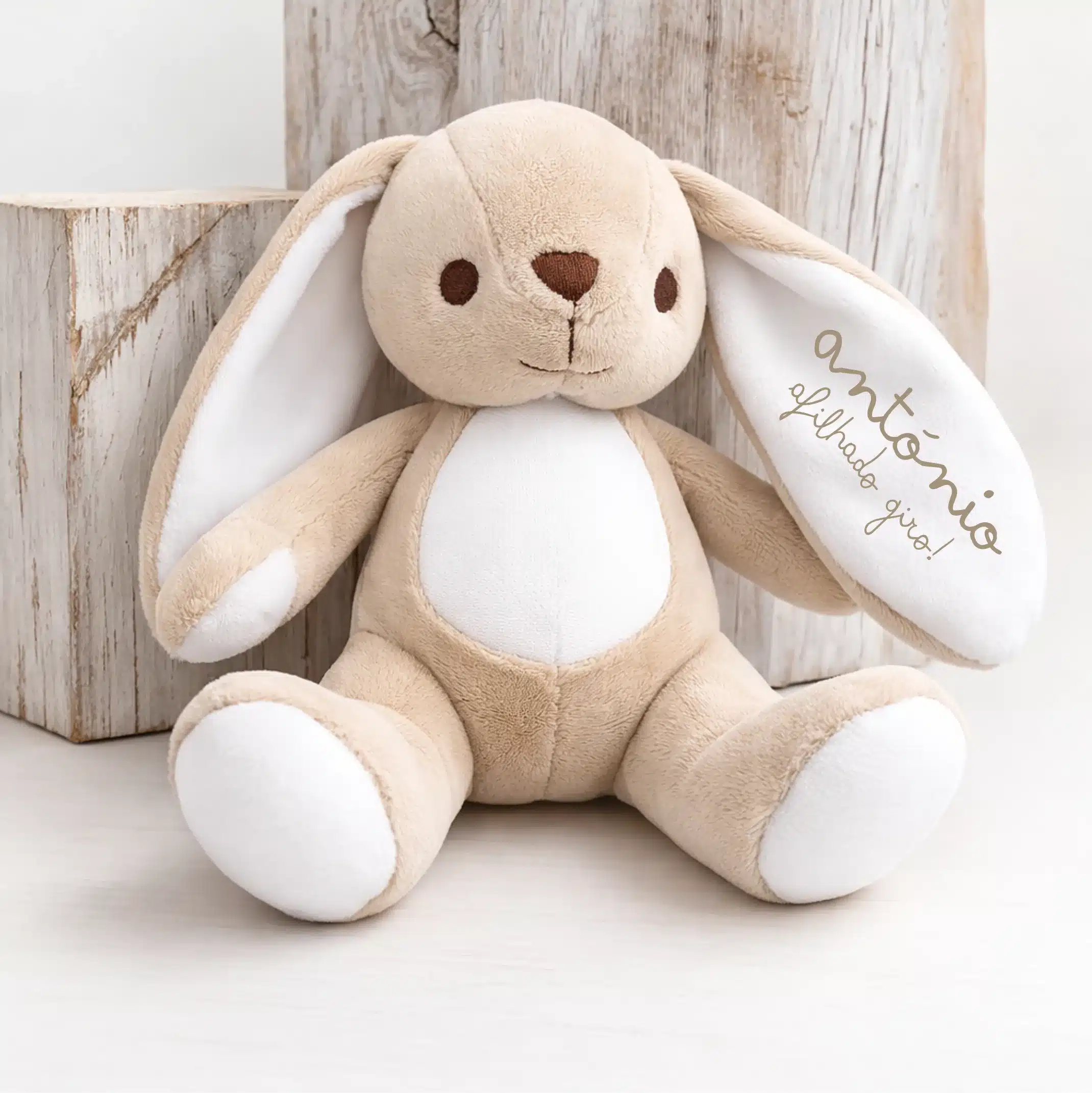 Coelho de peluche